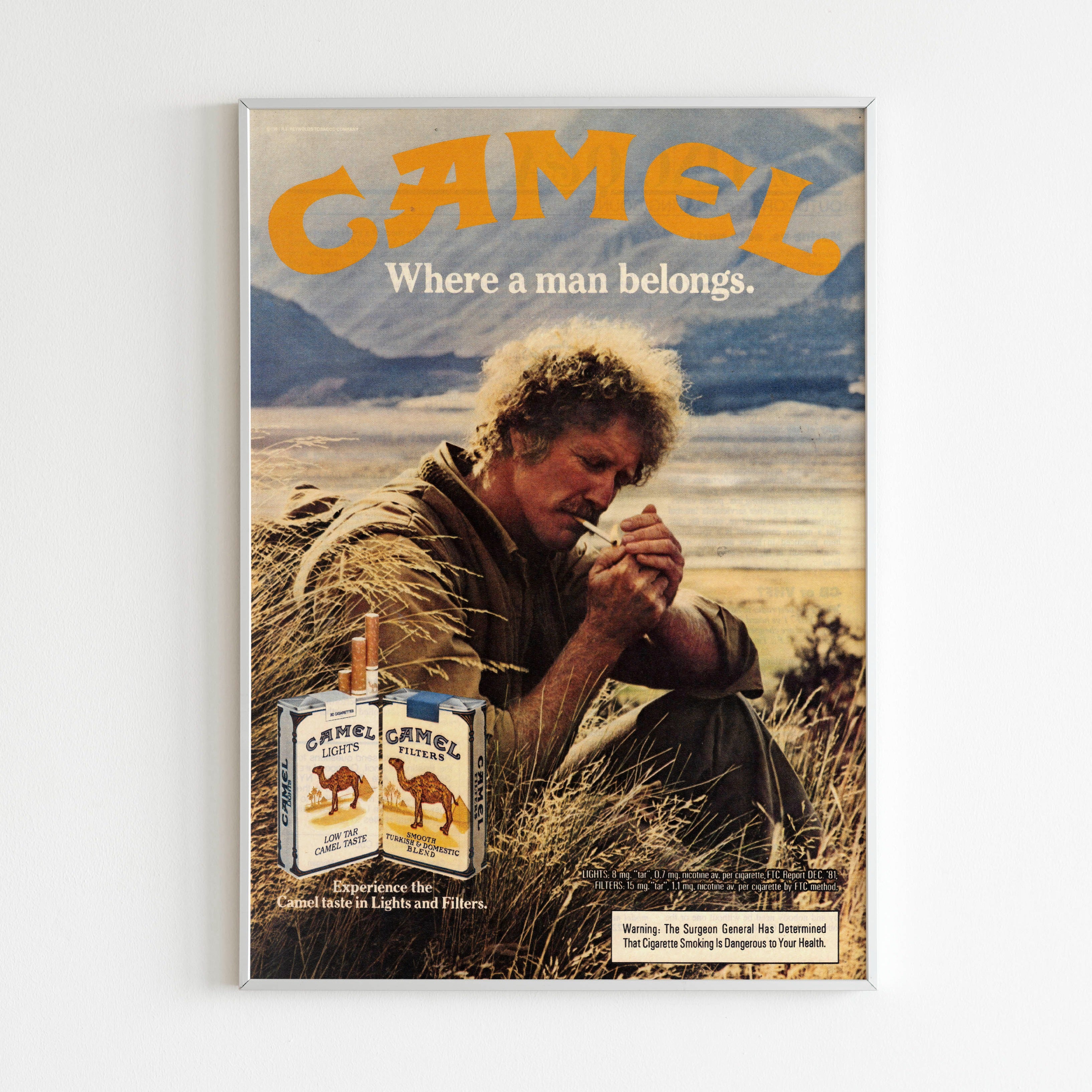 camel cigarettes man the cigarette Joe Camel Cartoons Camel became one of the