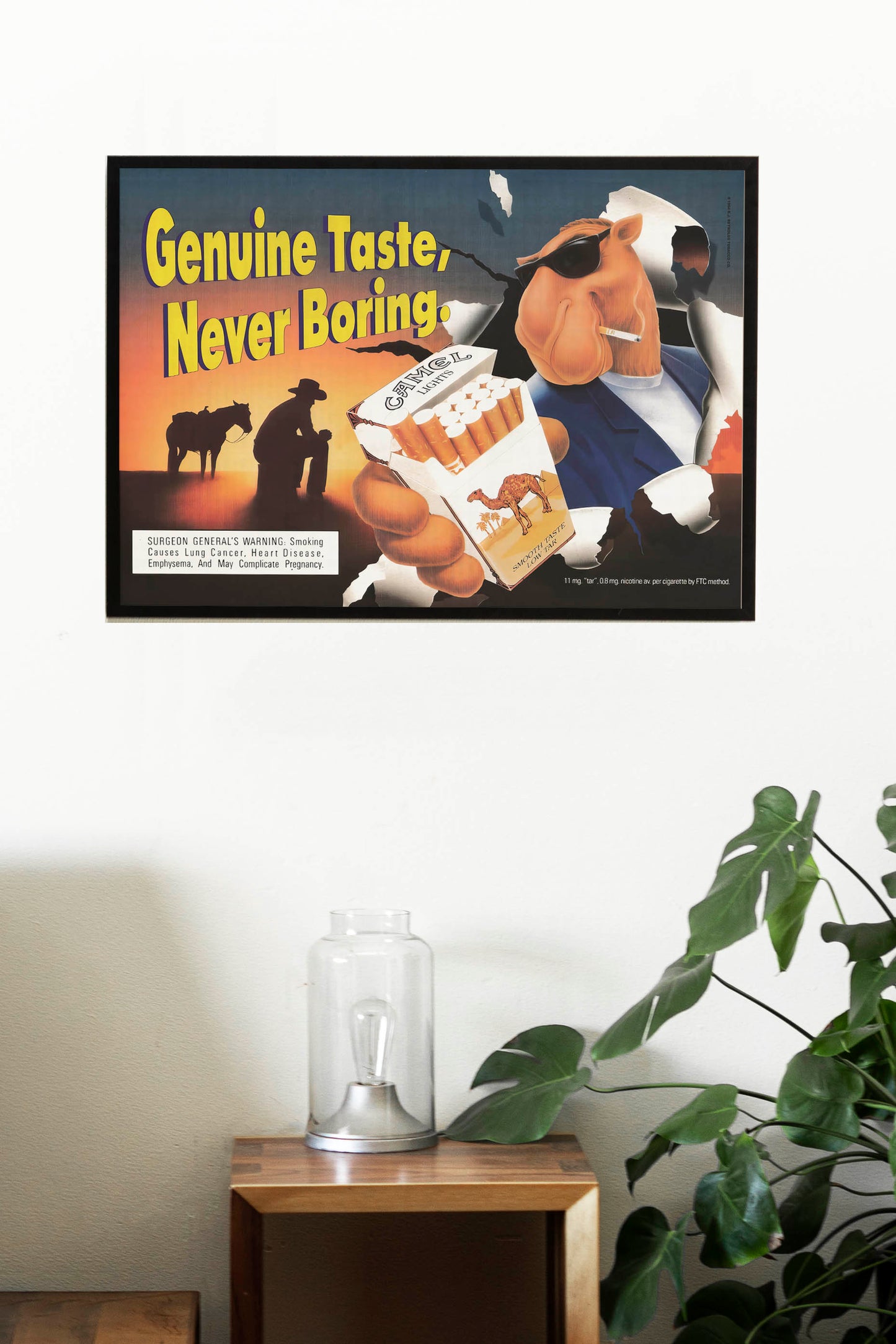 Camel Joe Poster