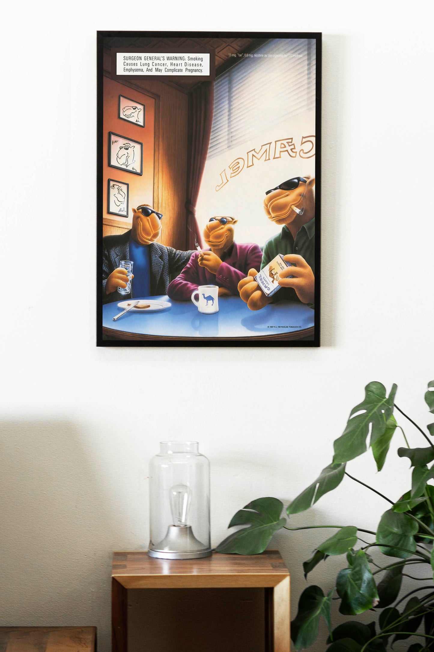 Camel Joe Poster