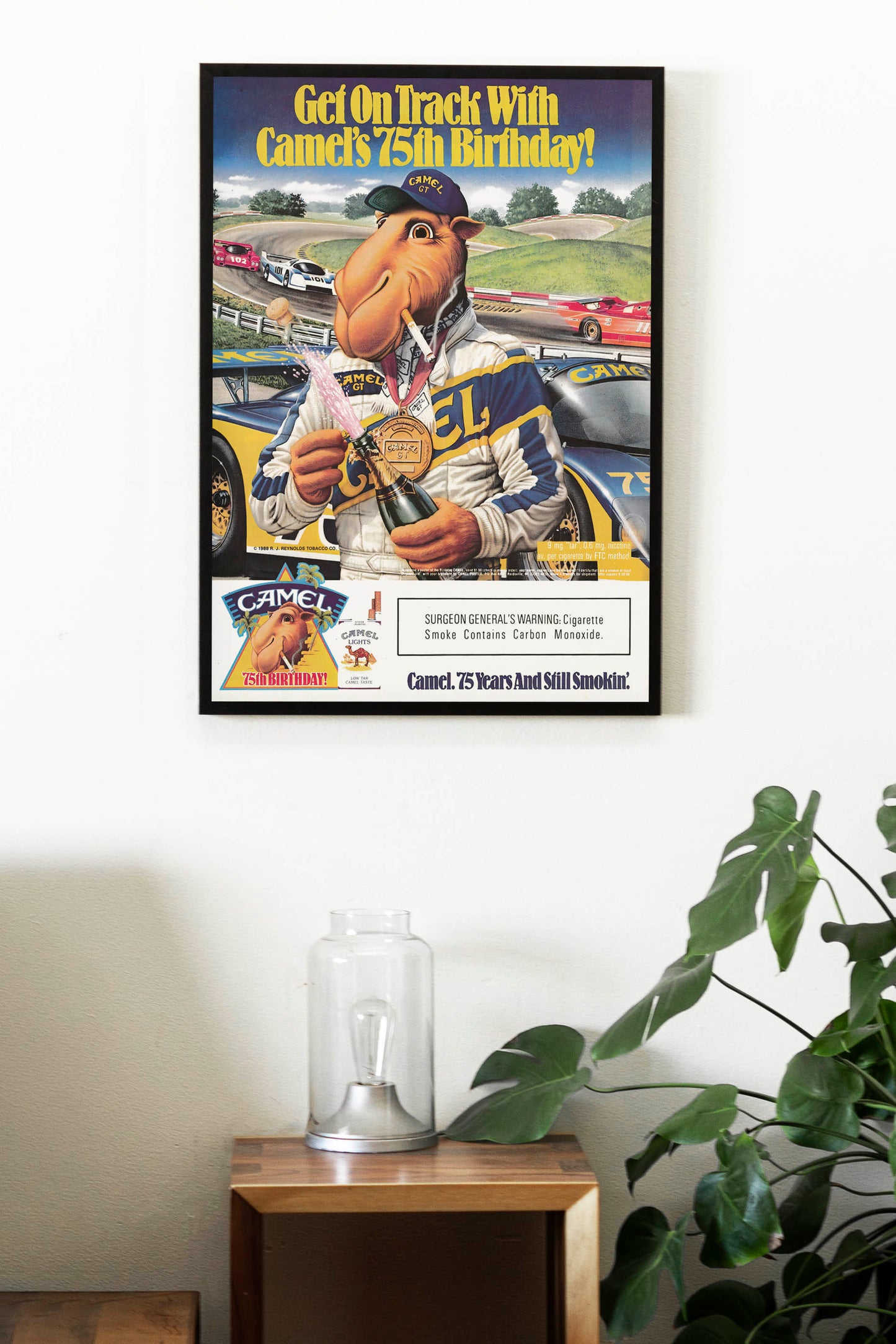 Camel Joe Poster