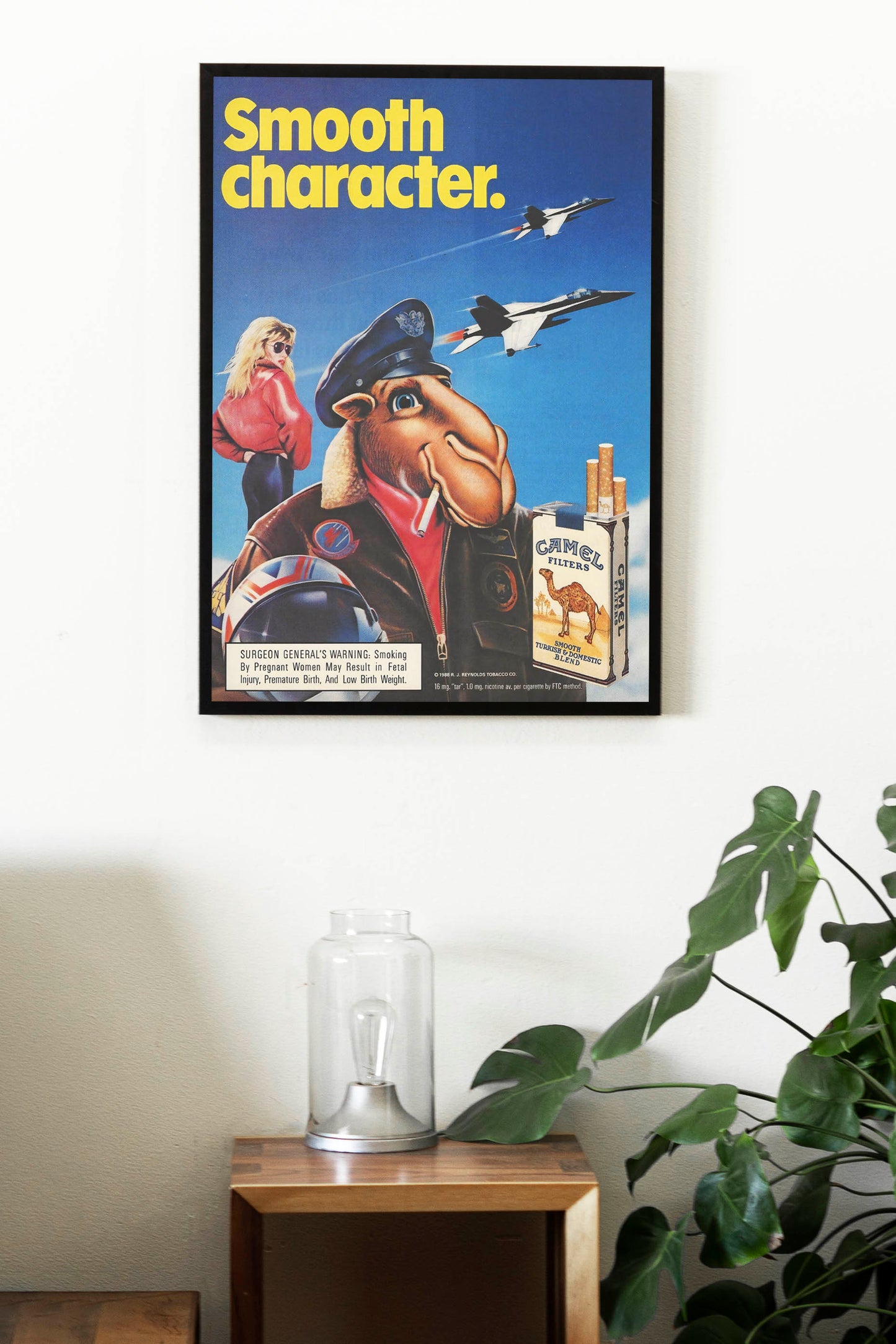 Сamel Joe Poster