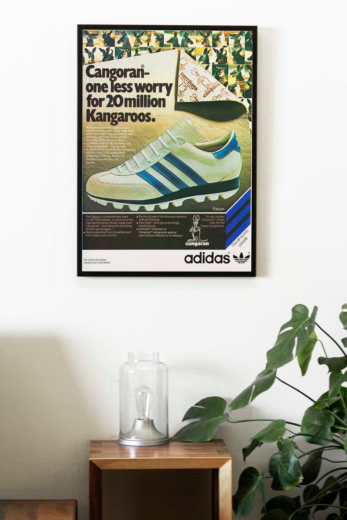 Adidas Cangoran Poster