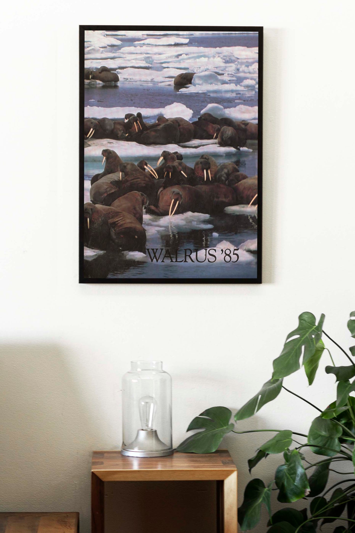 Walrus 1985 Catalogue Poster