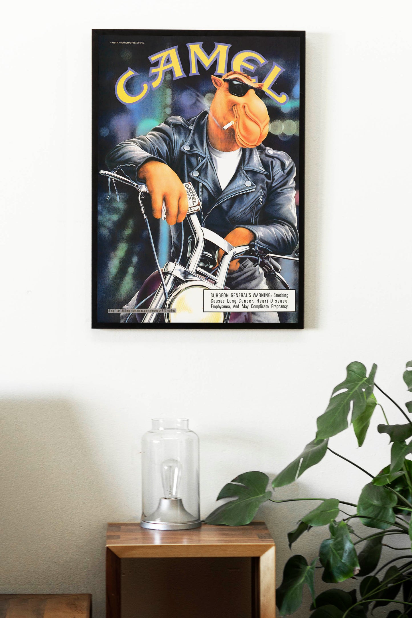 Сamel Joe Poster