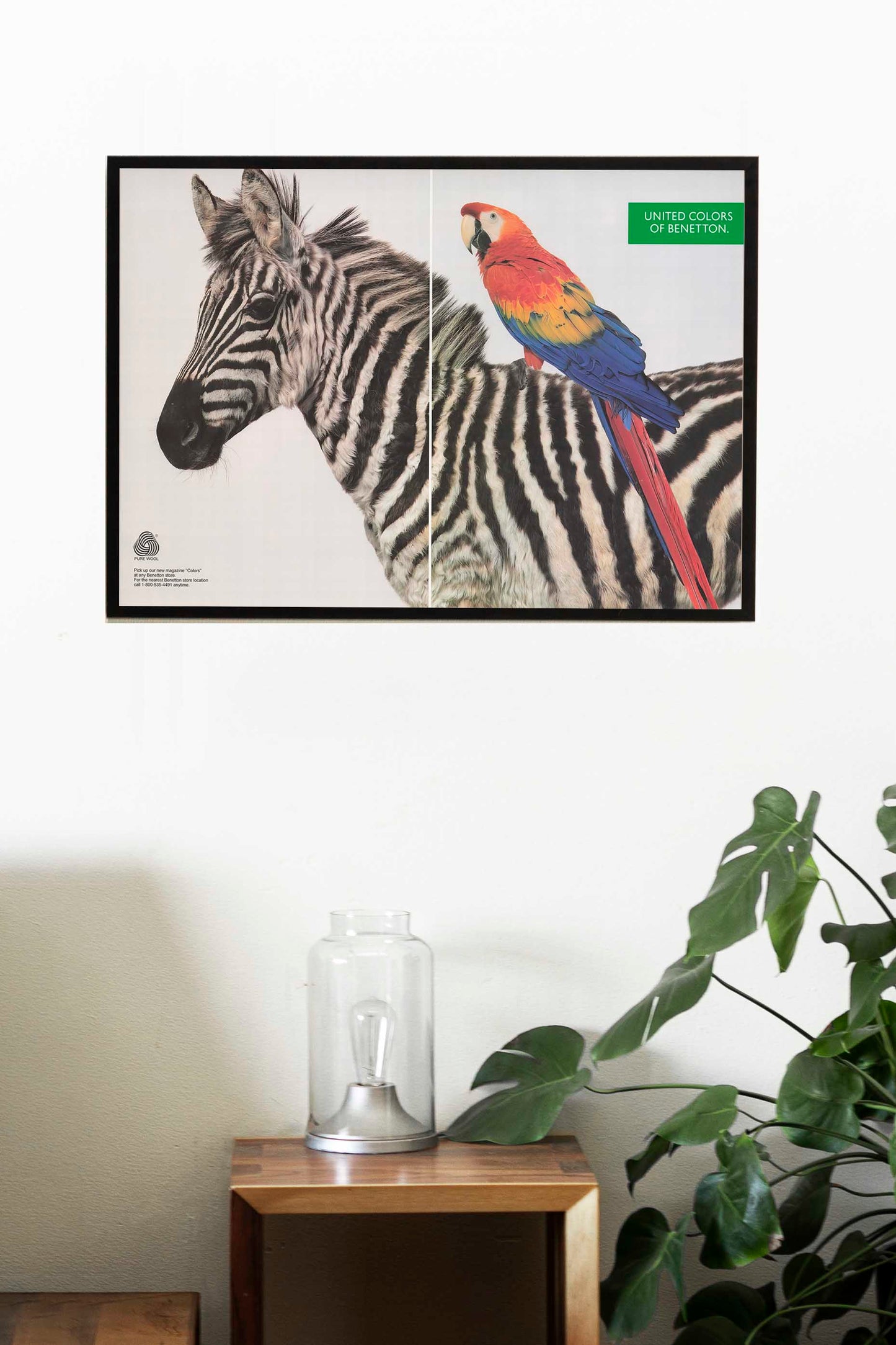 United Colors of Benetton Poster