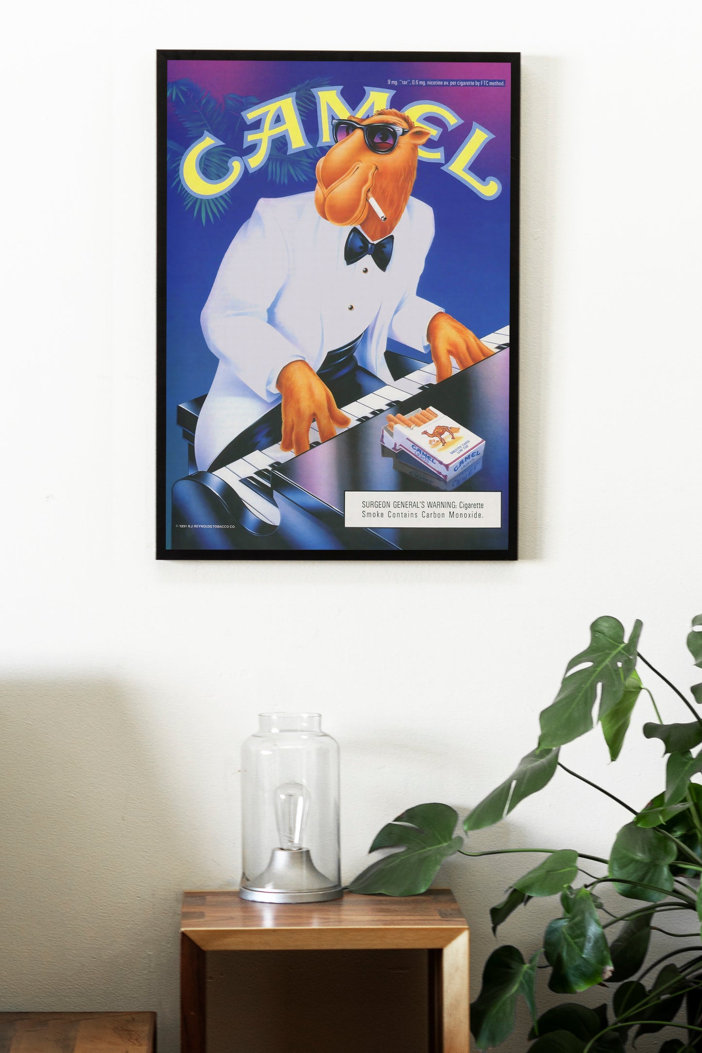 Camel Joe Poster