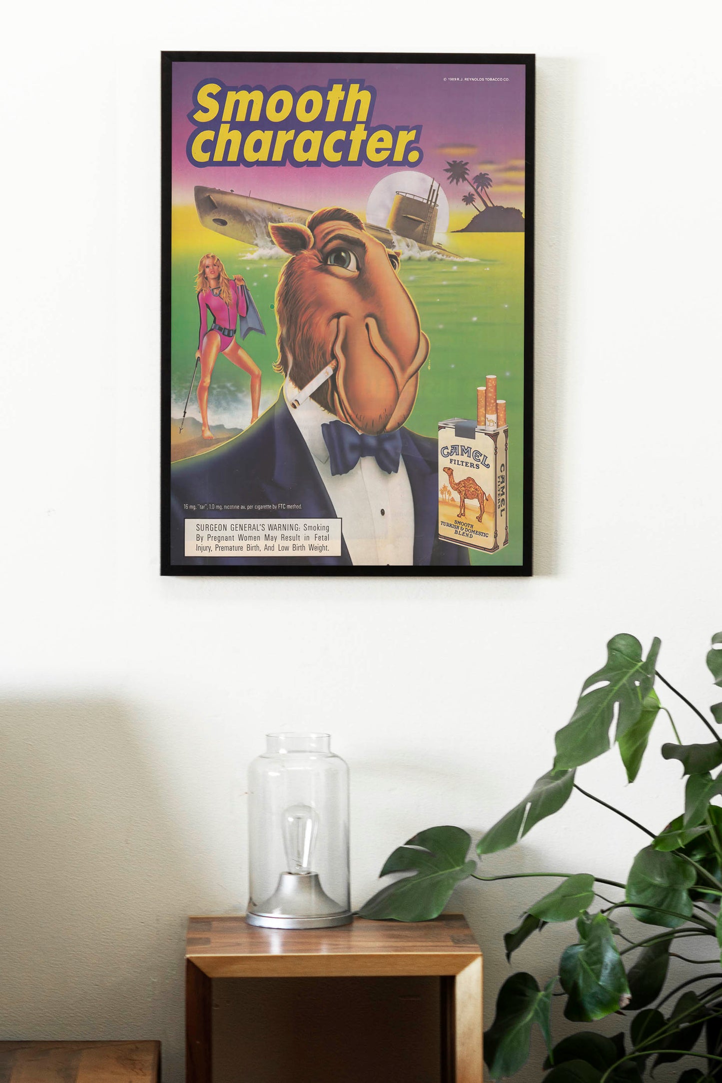 Camel Joe Poster
