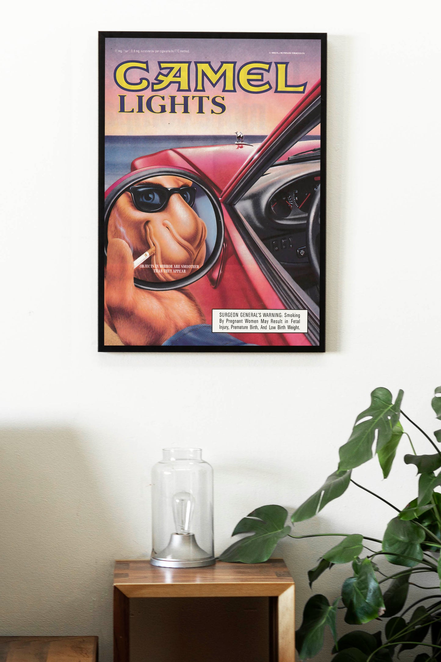 Сamel Joe Poster