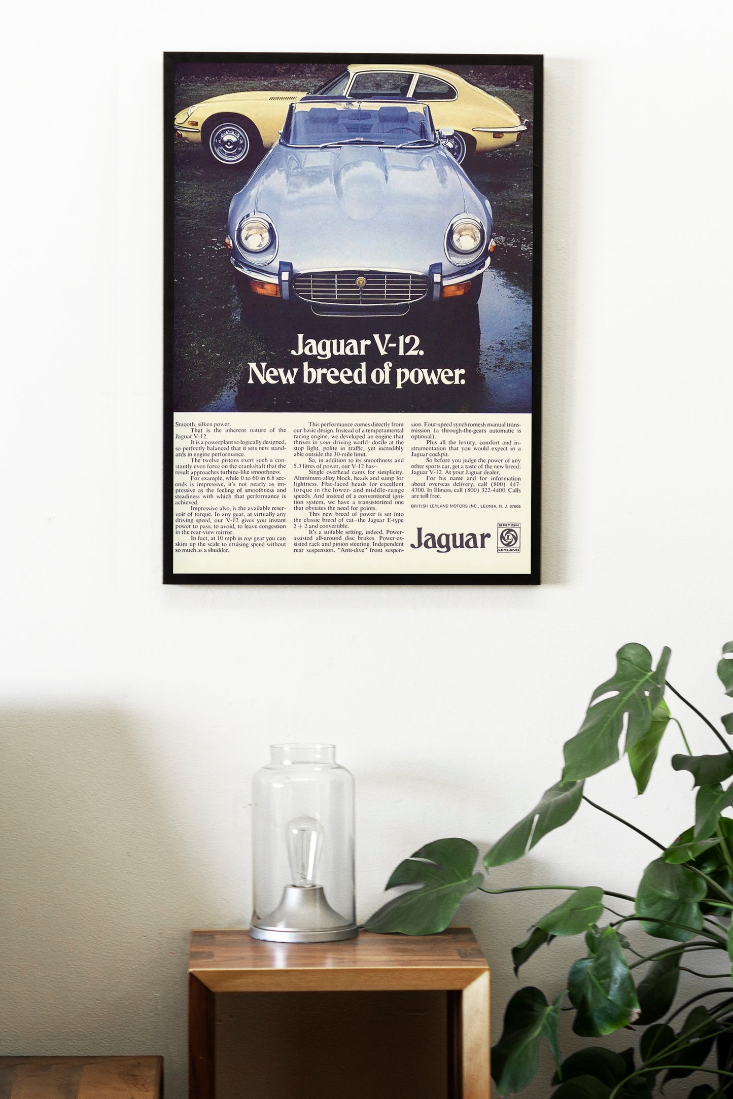 Jaguar Poster