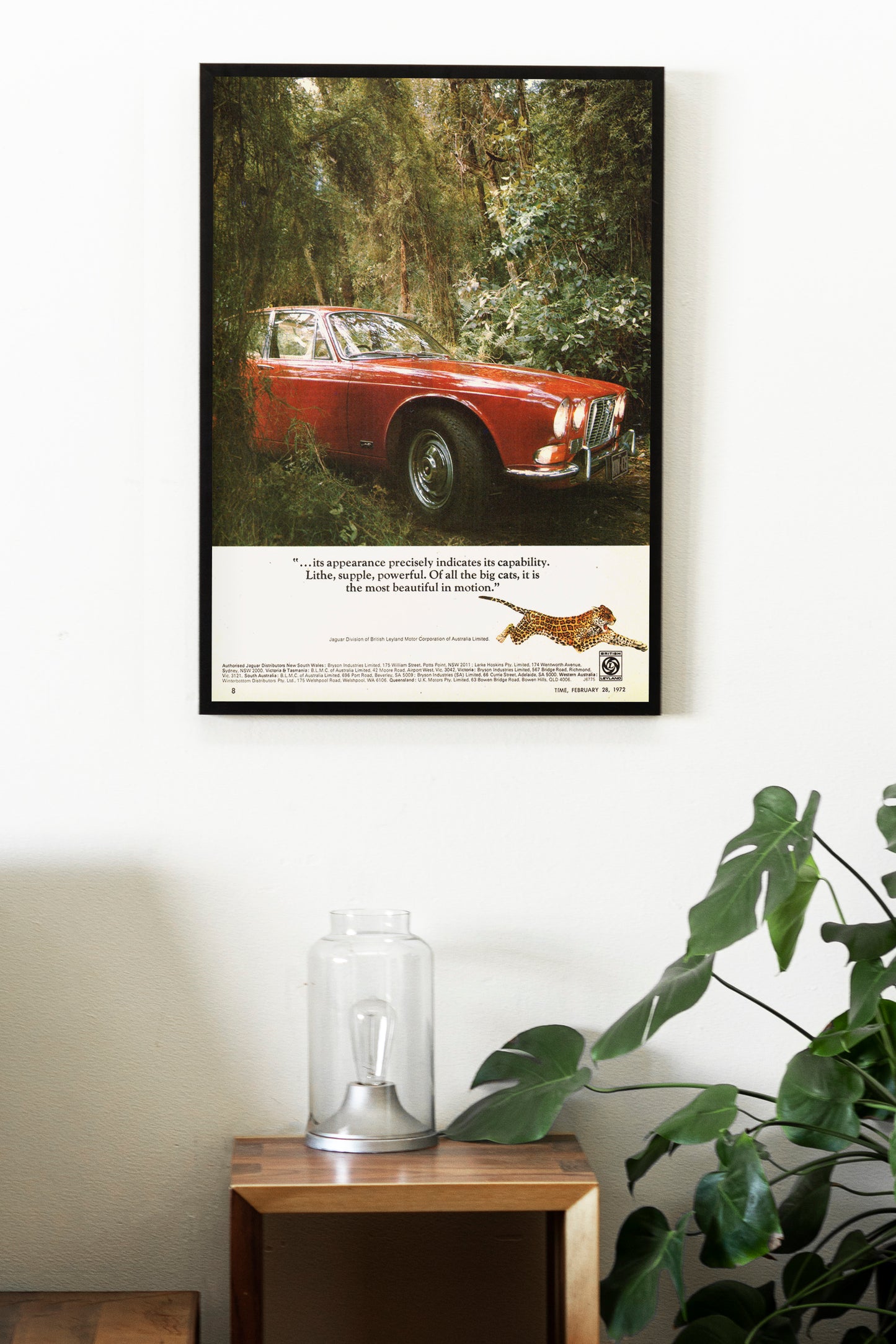 Jaguar Poster