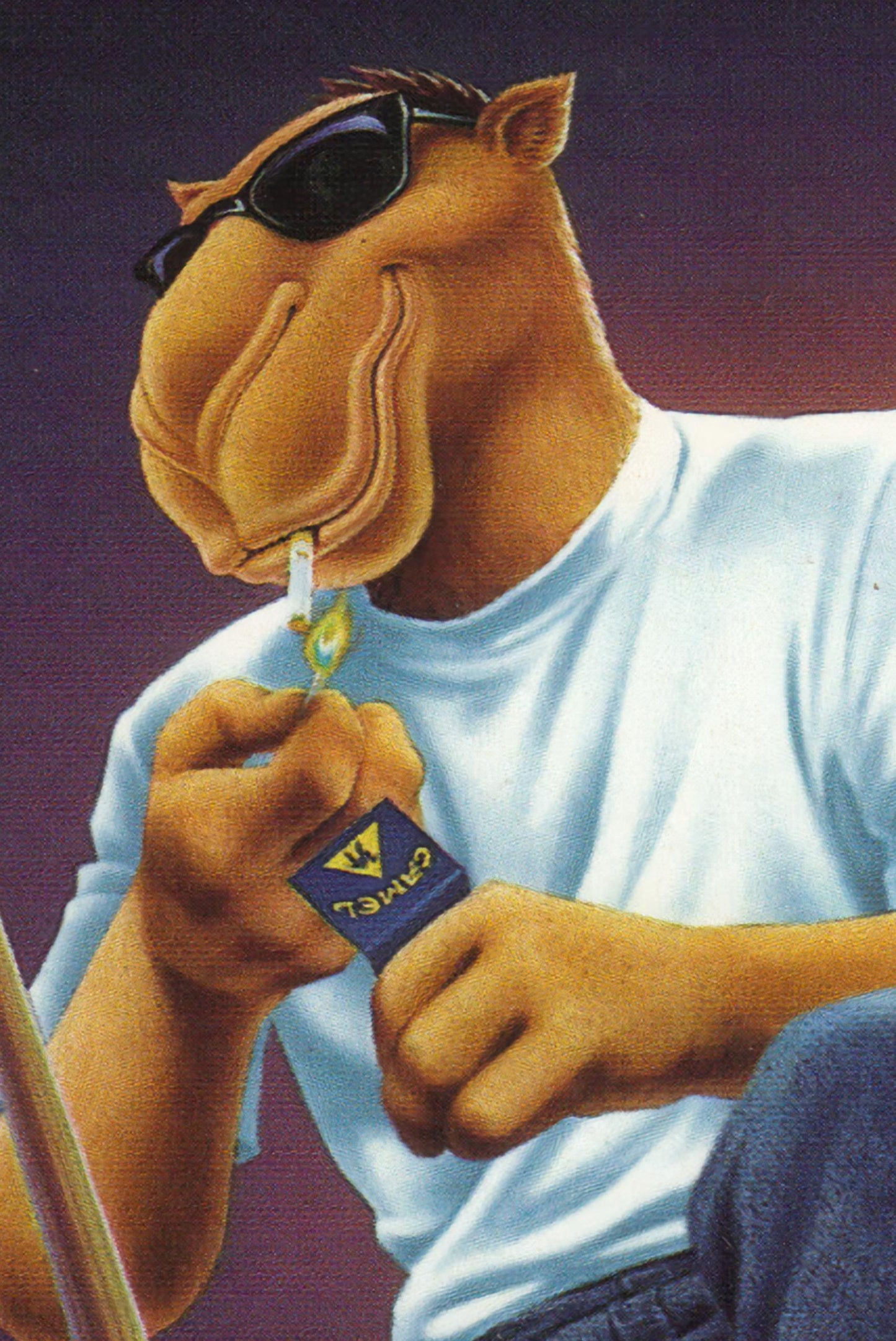 Camel Poster