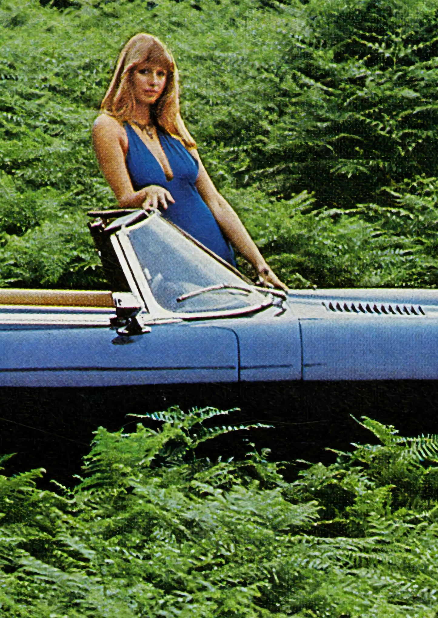 Jaguar "Nobody's Pussycat" Poster
