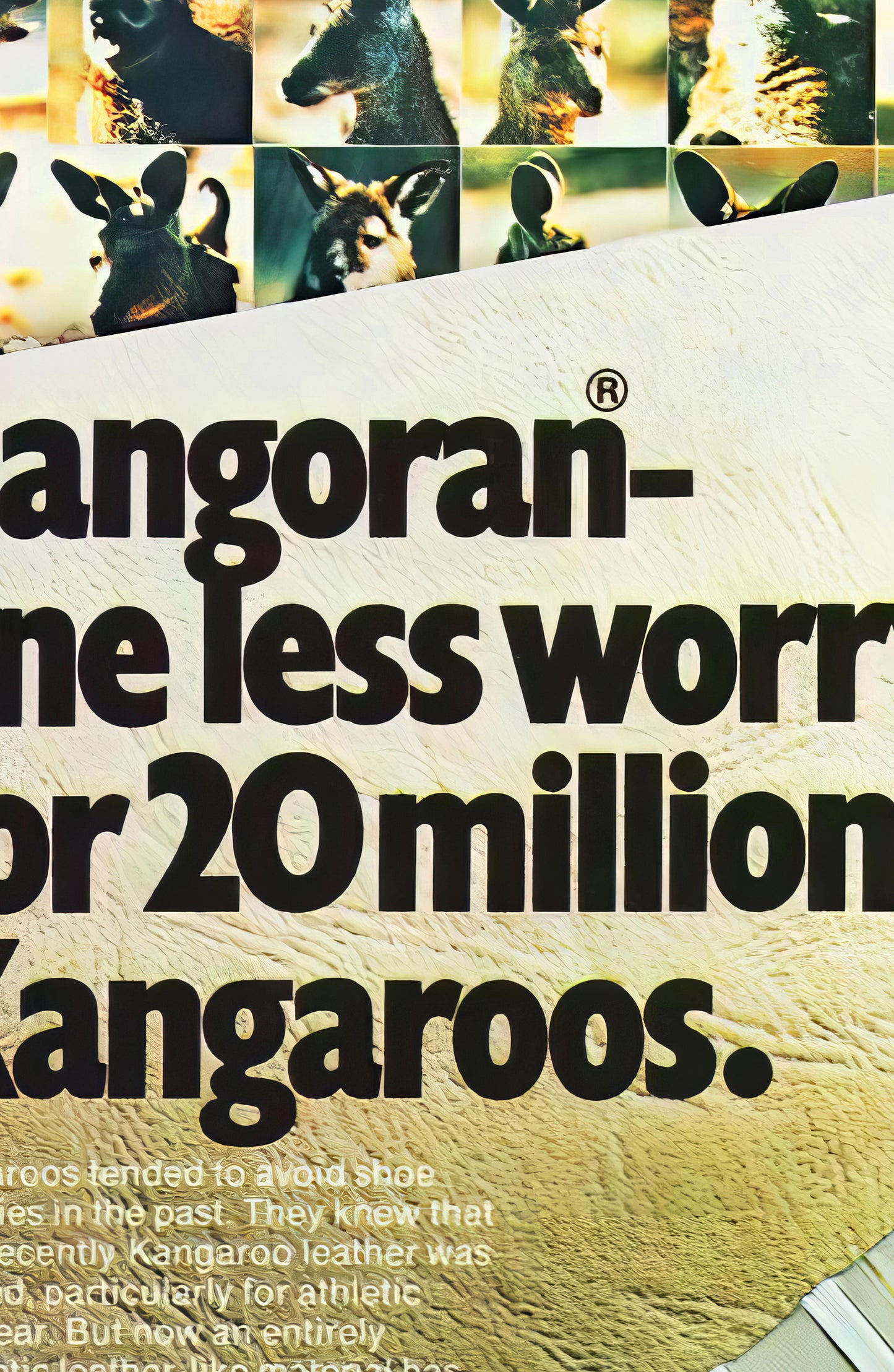 Adidas Cangoran Poster