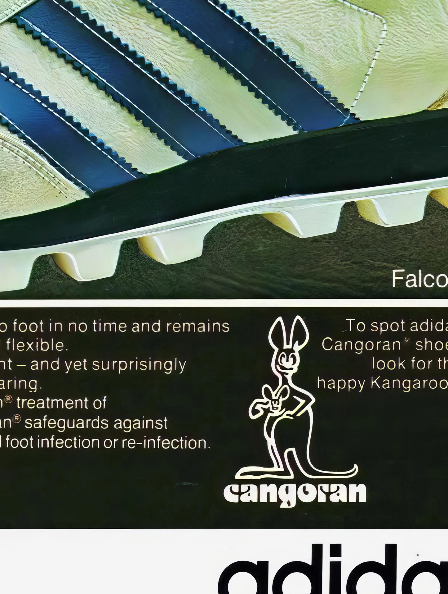 Adidas Cangoran Poster