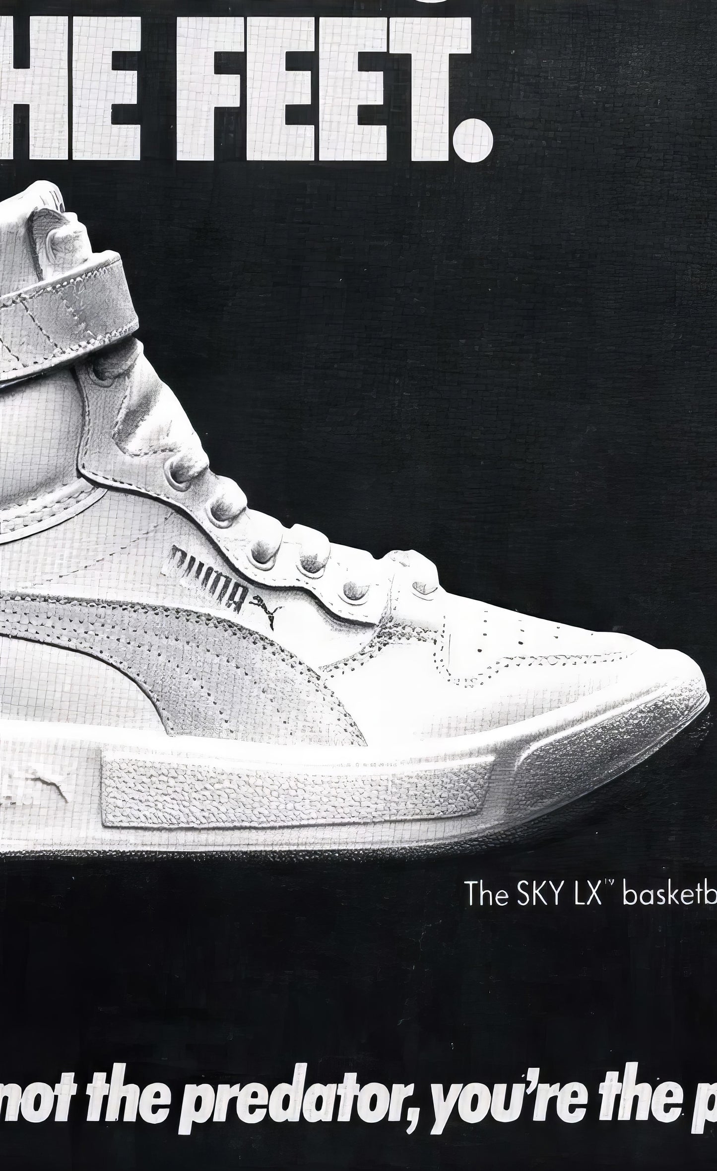 Puma Poster