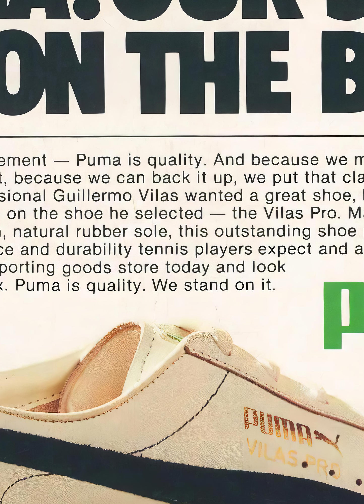 Puma Poster
