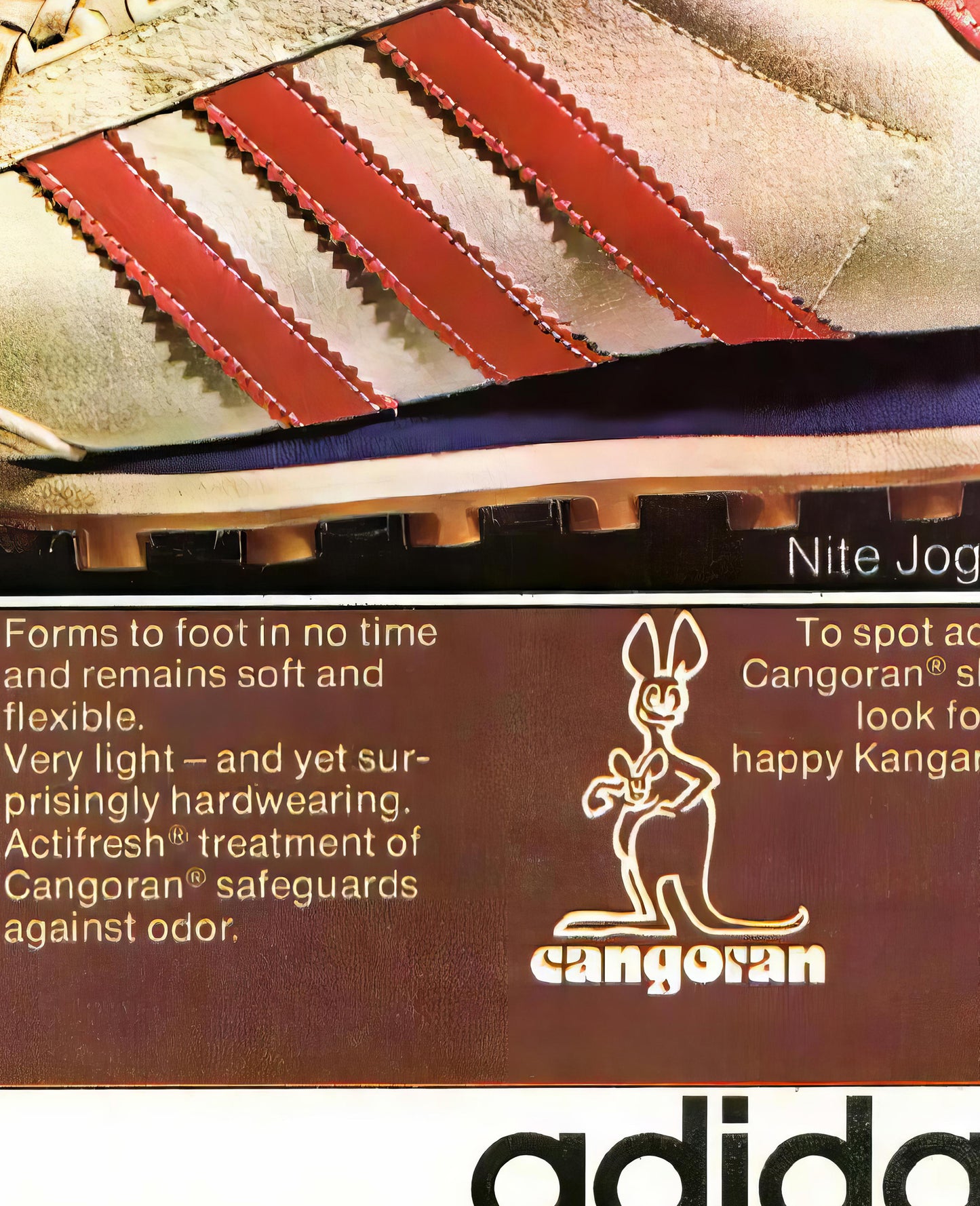 Adidas Cangoran Poster
