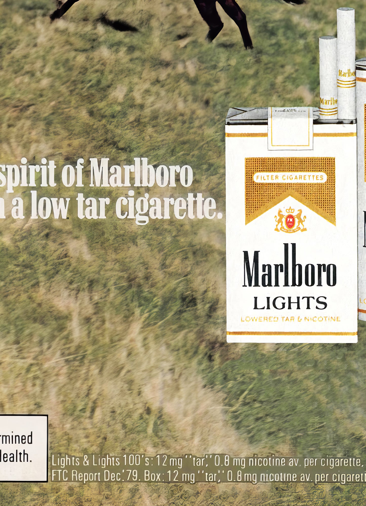 Marlboro Country Poster