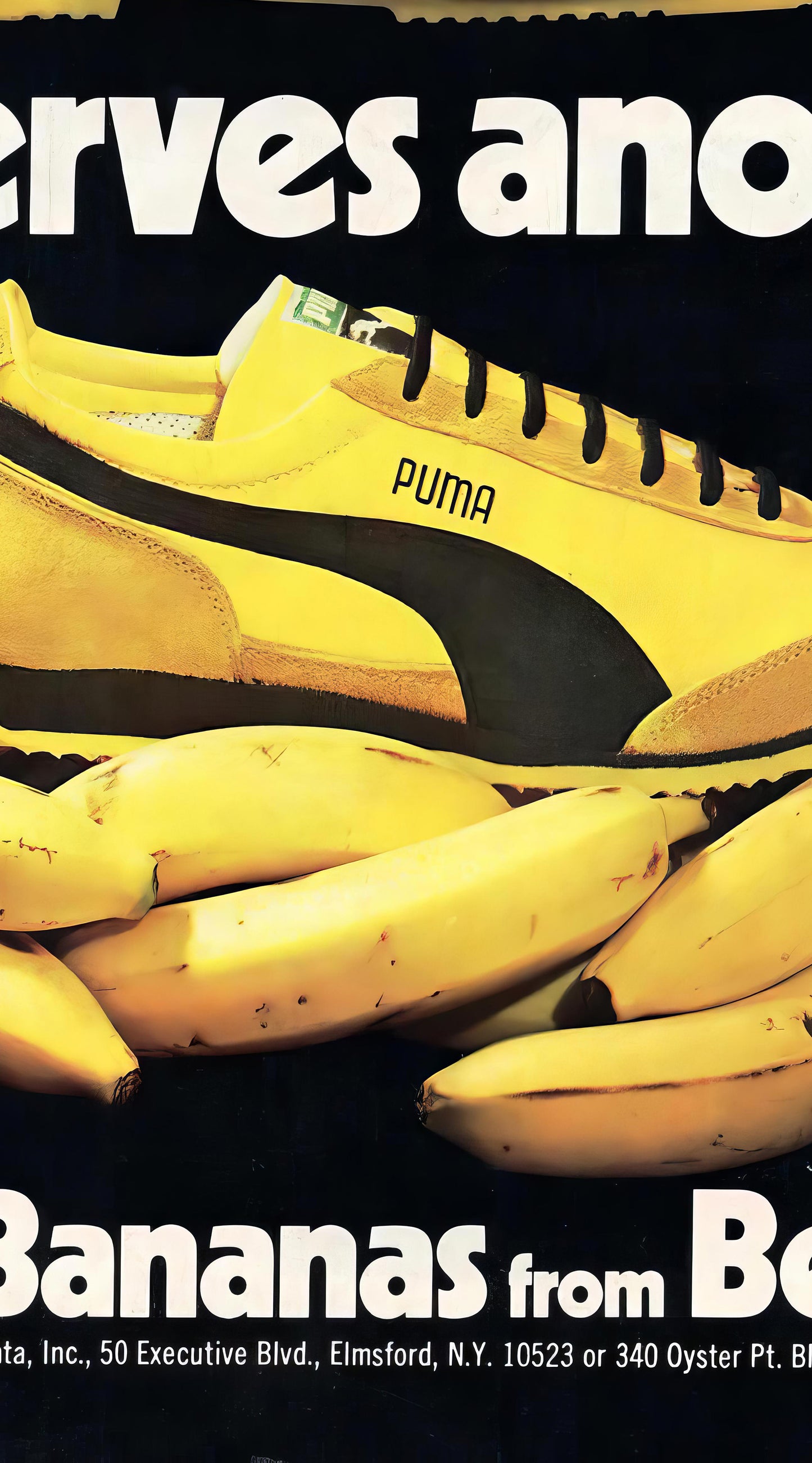 Puma Poster