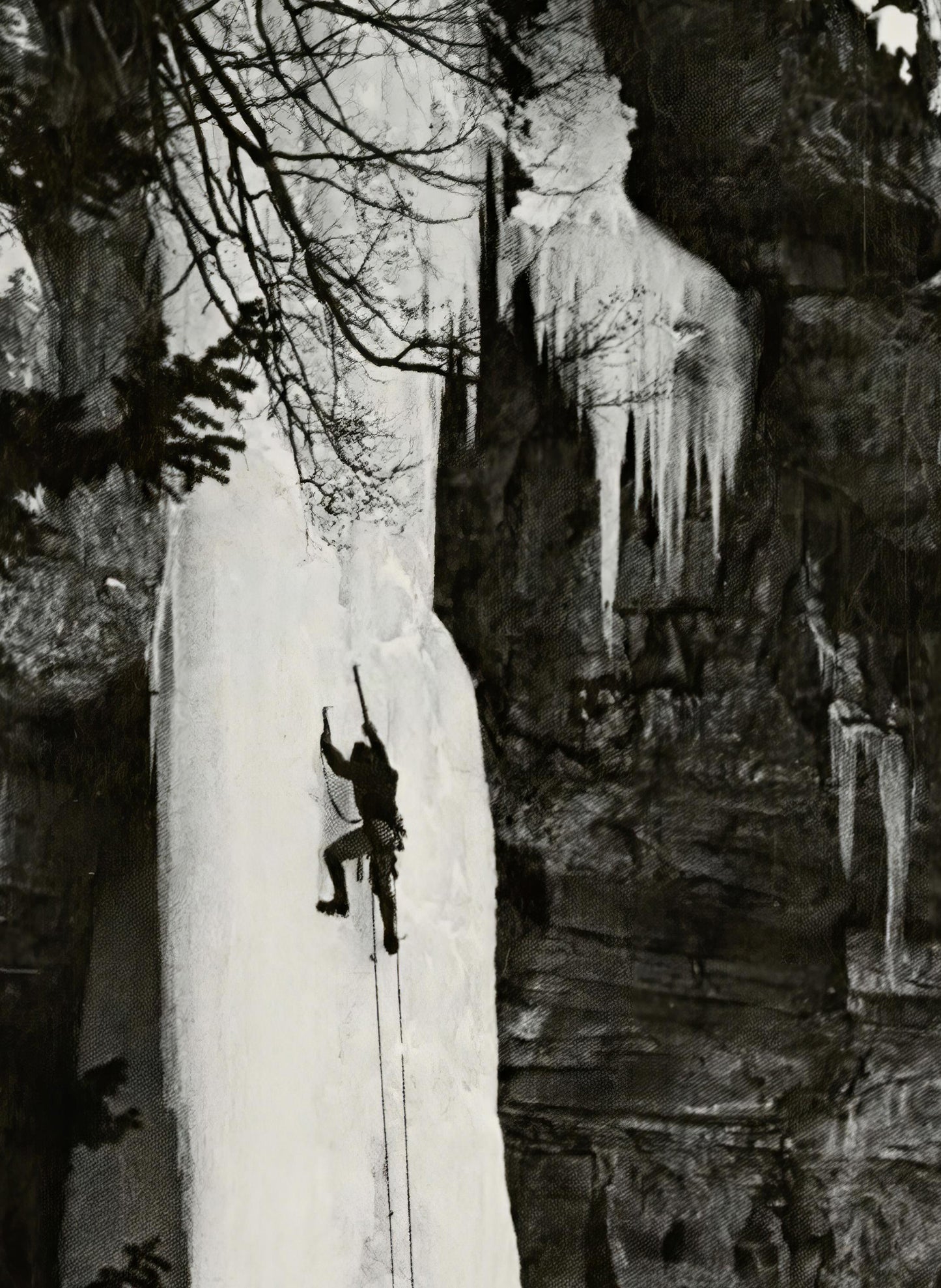 The North Face Magazine Front Cover Poster