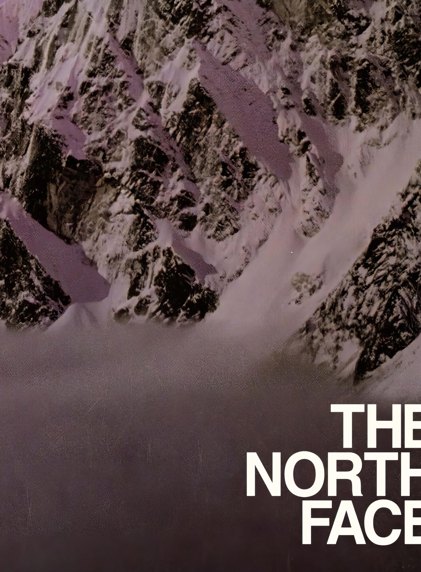 The North Face Poster