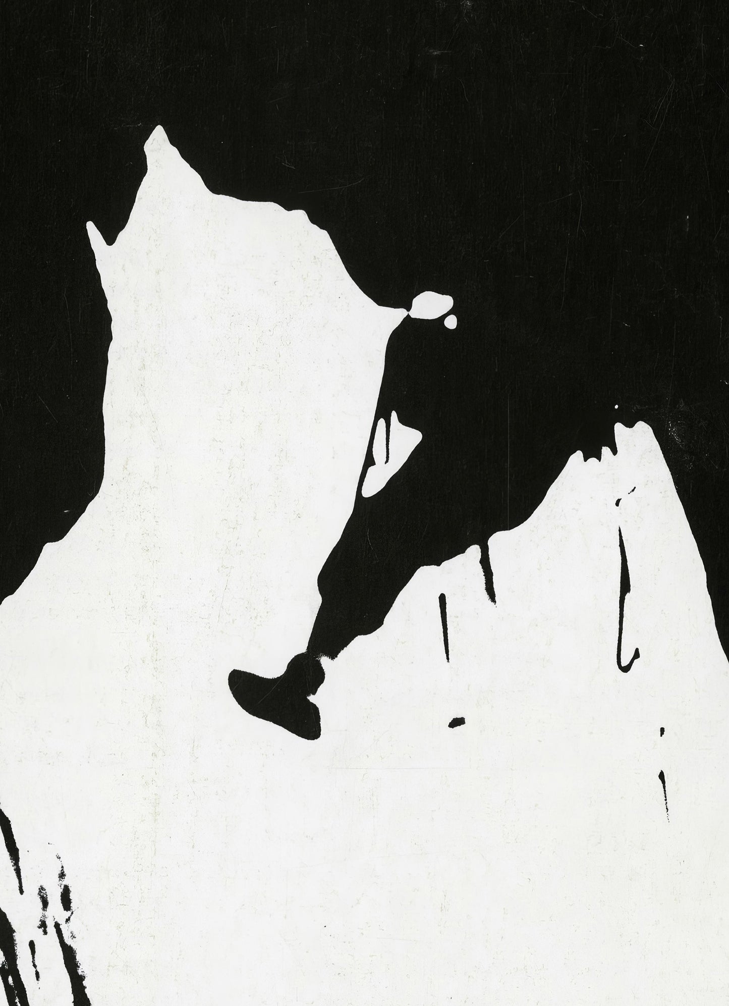 The North Face 1970 Magazine Front Cover Poster