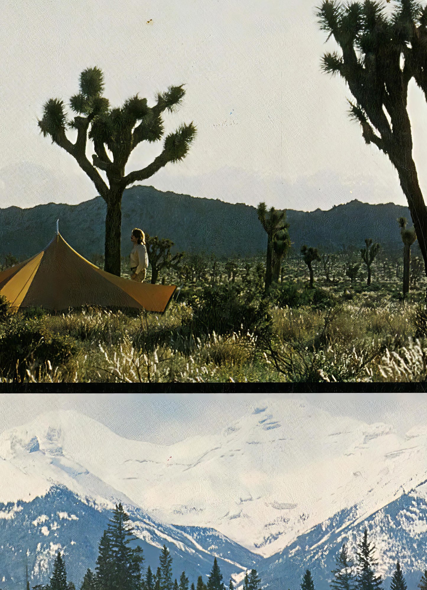 The North Face 1974-1975 Magazine Front Cover Poster