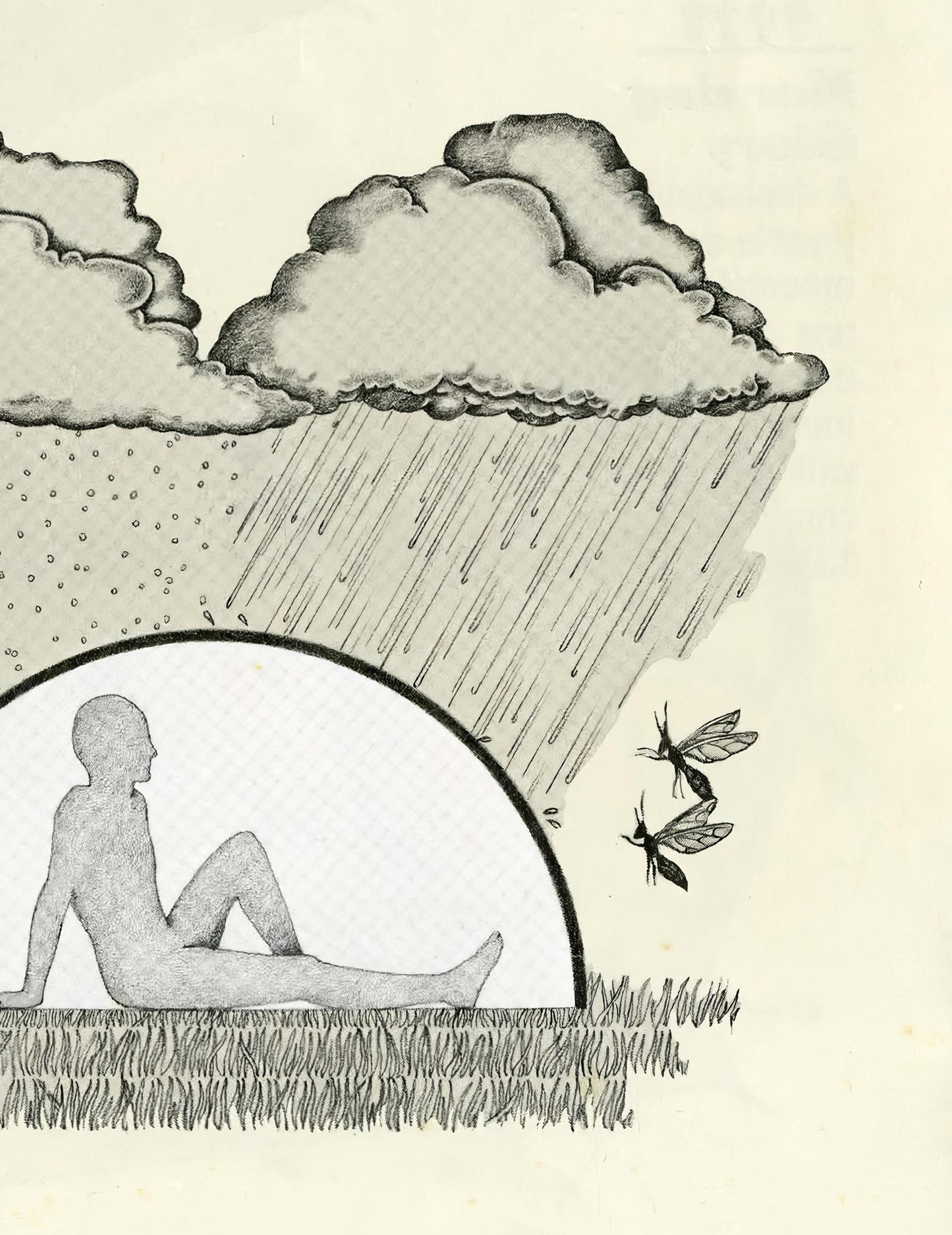 The North Face Poster