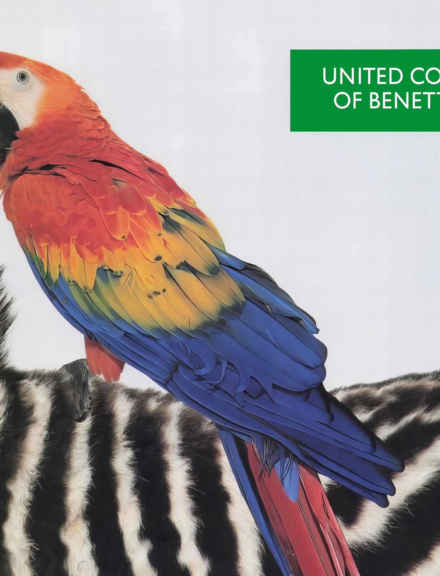 United Colors of Benetton Poster