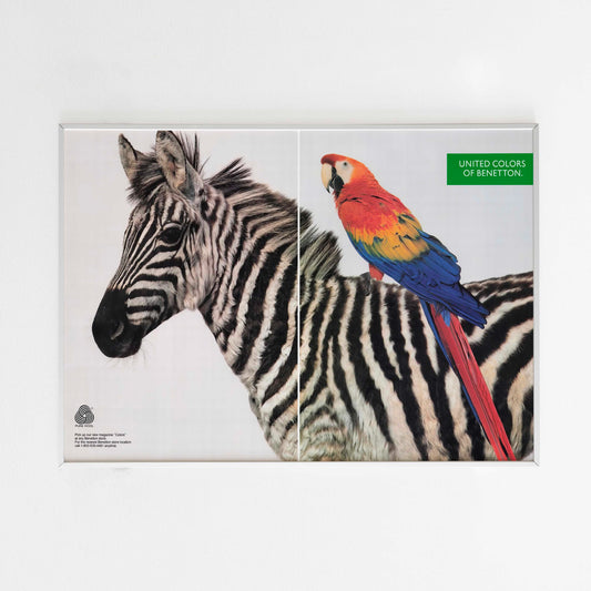 United Colors of Benetton Advertising Poster, 90s Style Toscani Photo Print, Vintage Ad Wall Art, Magazine Retro Advertisement, Animal Zebra and Parrot 
