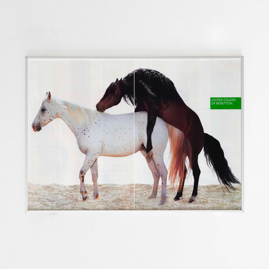 United Colors of Benetton Advertising Poster, 90s Style Toscani Photo Print, Vintage Ad Wall Art, Magazine Retro Advertisement, Animal Horse