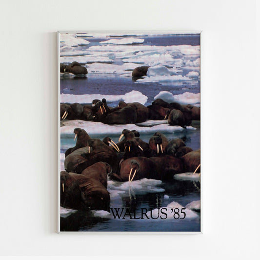 Walrus 1985 Catalogue Poster Style Outdoor Print, Vintage Wall Art, Journal Retro Advertisement, 90s retro Ad, Explore wild nature Mountains Trekking Outdoor  Print