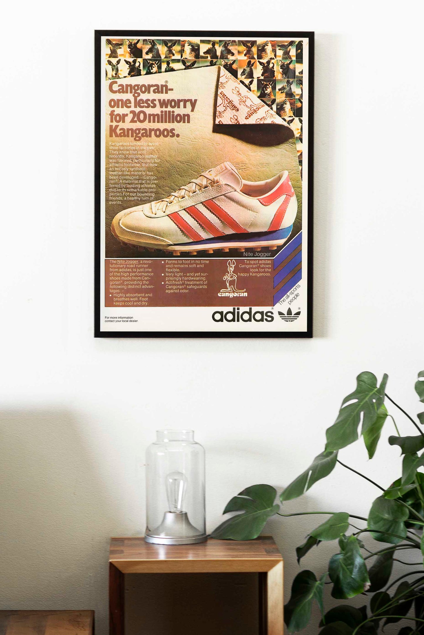 Adidas Cangoran Poster