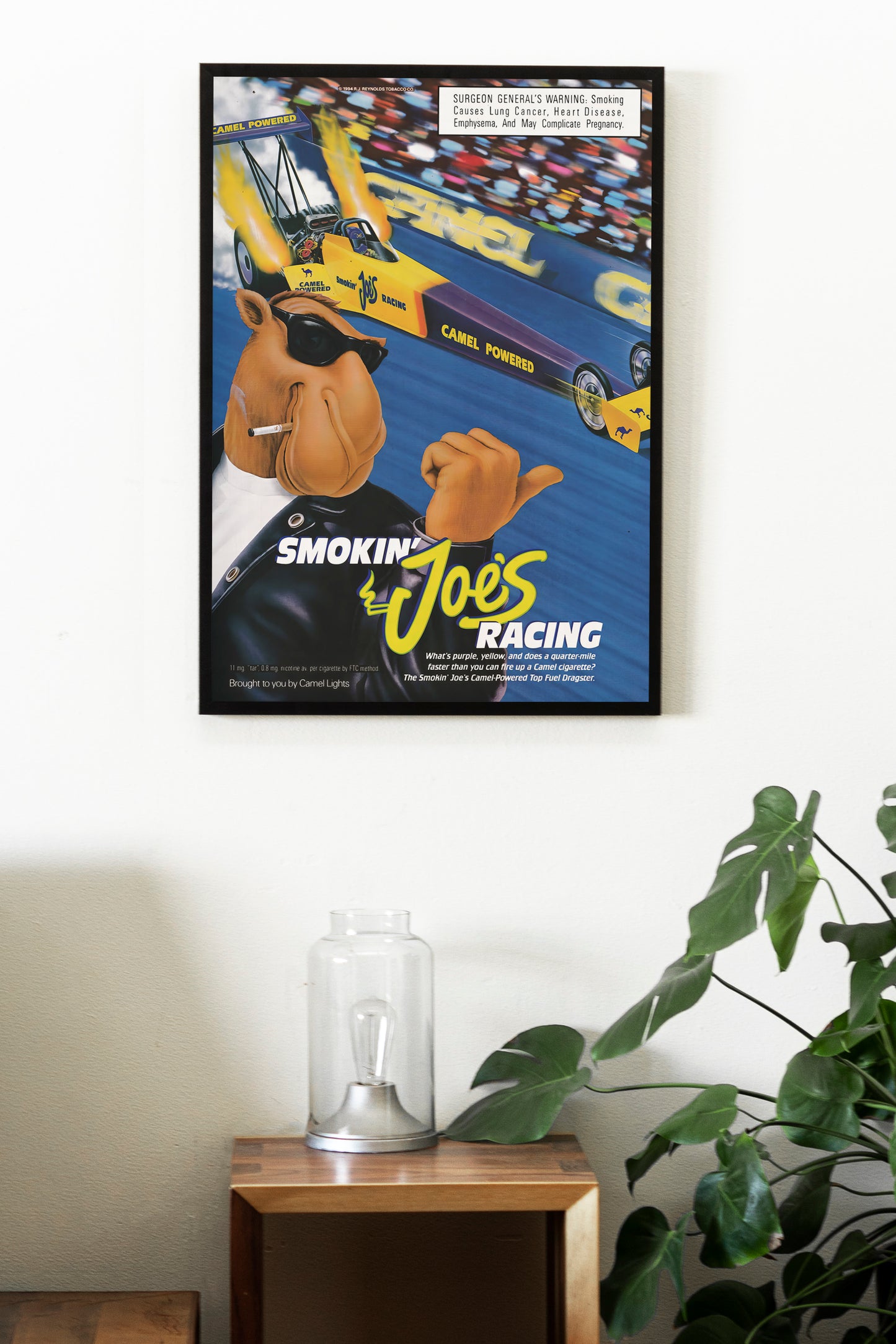 Camel Joe Poster