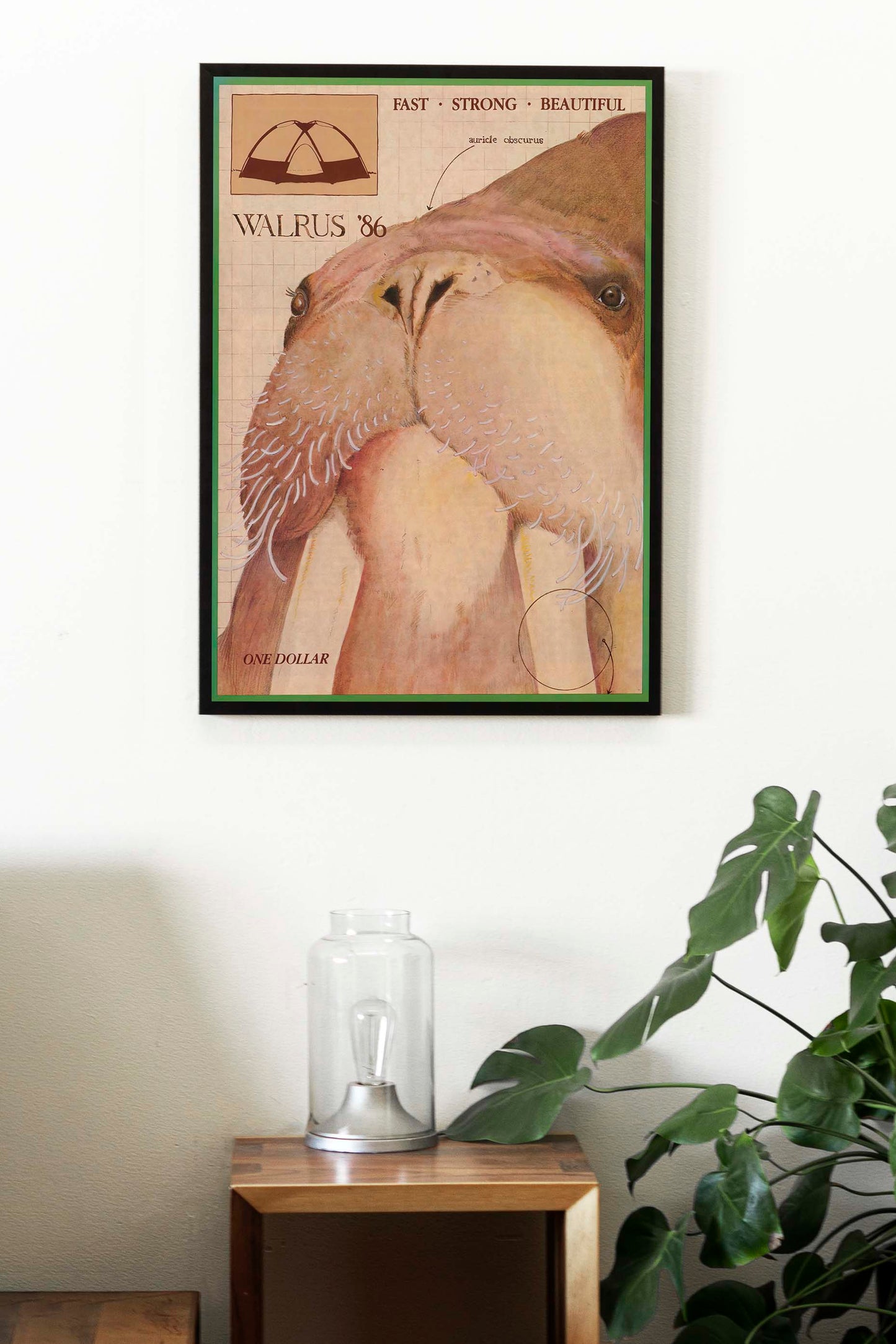 Walrus 1986 Catalogue Poster