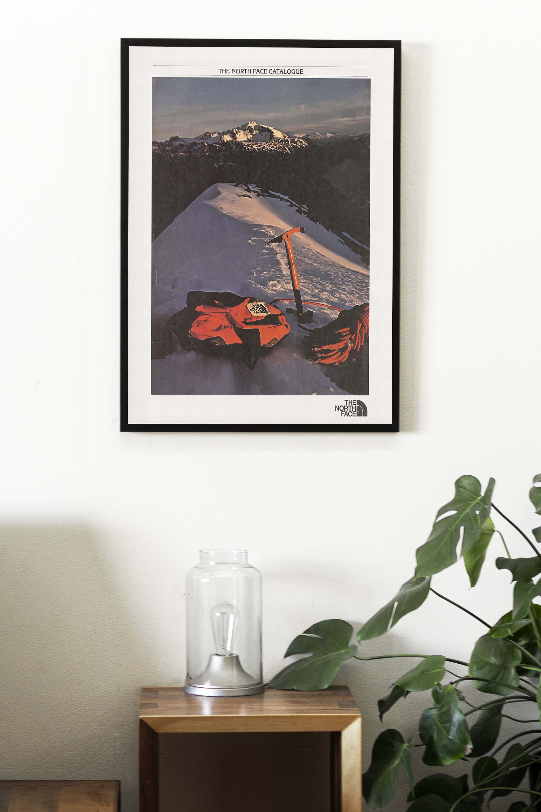 The North Face Poster
