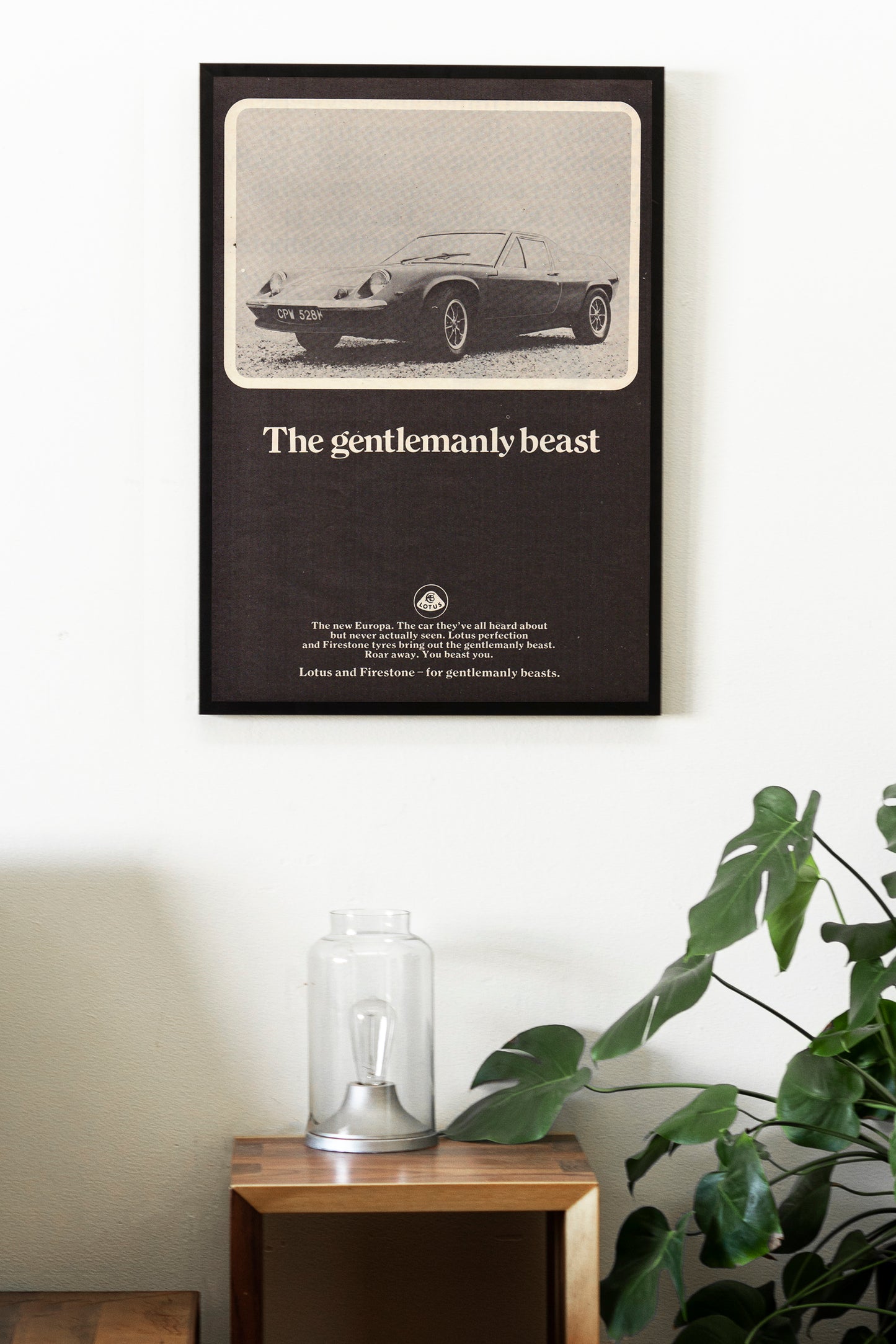 Lotus Poster