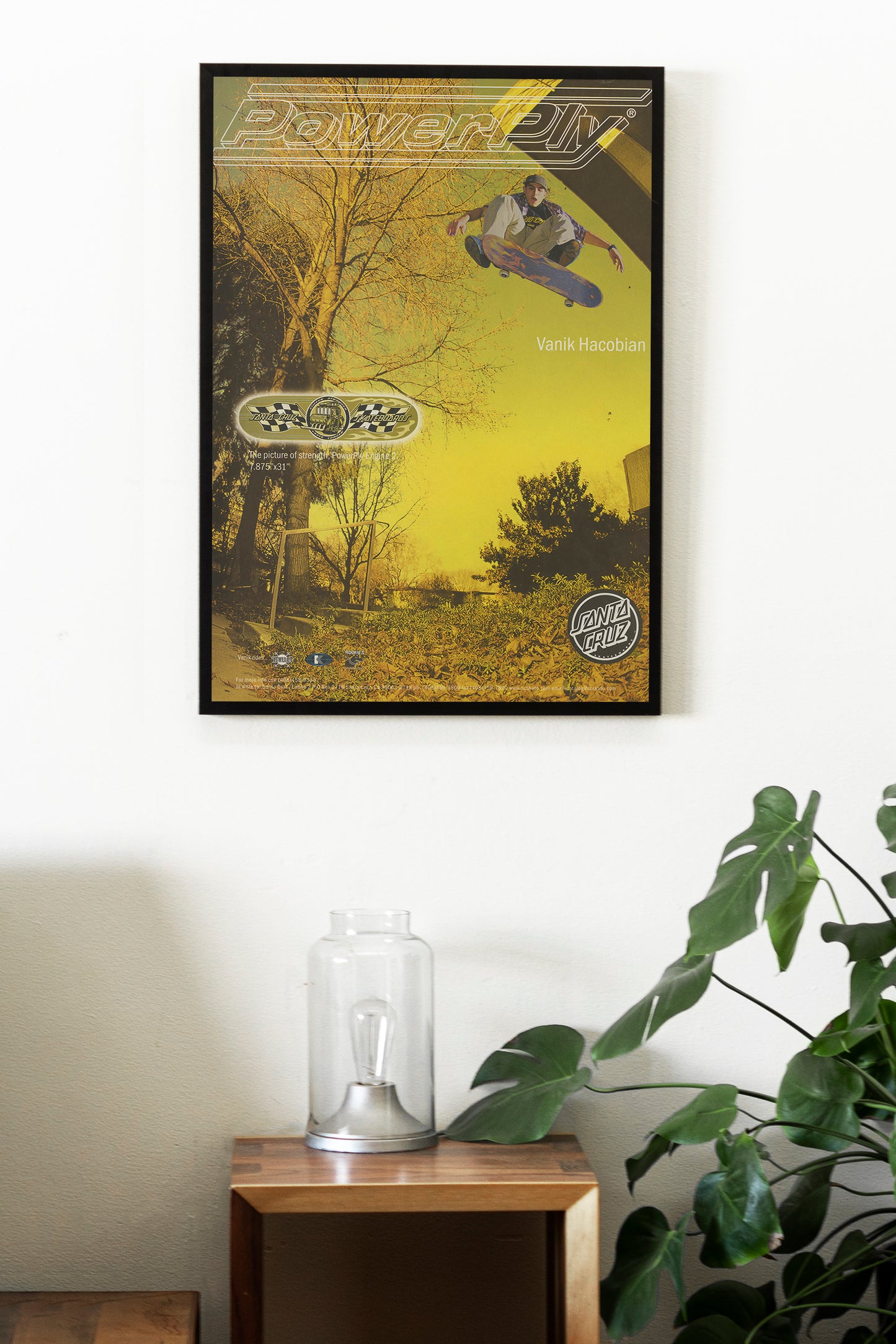 Santa Cruz Skateboarding Poster