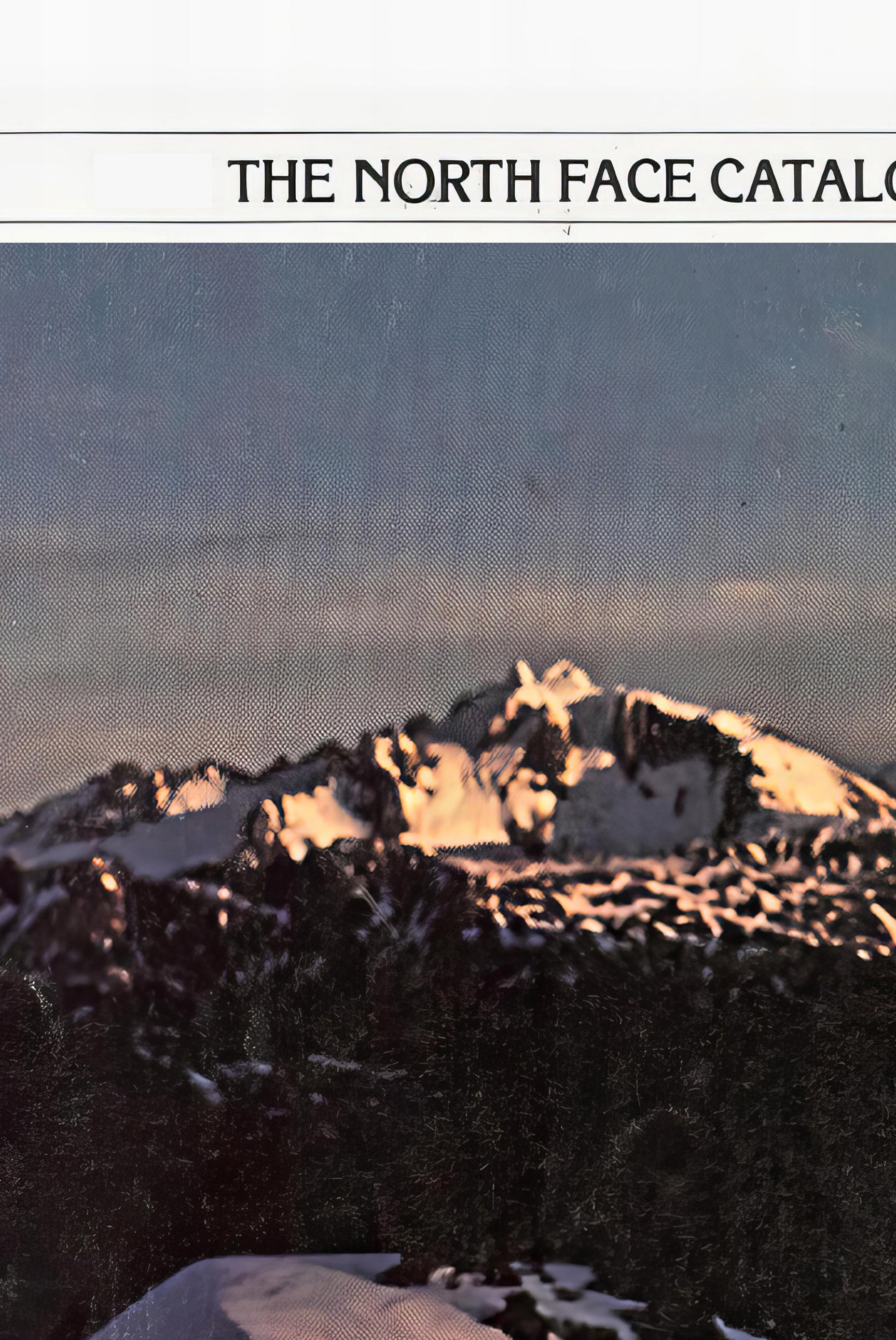 The North Face Poster
